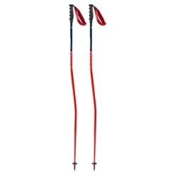 Swix WC Pro Aluminum Ski Pole -Ski Clothing Store 20 Swix WC Race Pole GS